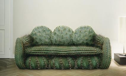 sofá hecho de cactus